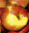 Climalife manzana Climalife manzana