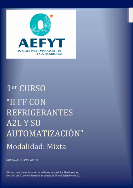 Programación aefyt