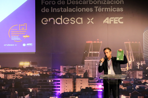 Afec y Endesa
