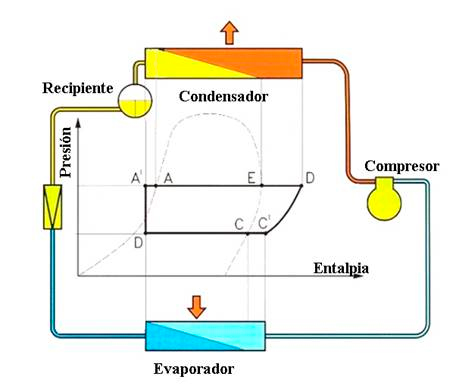 Aefyt cursos 2024