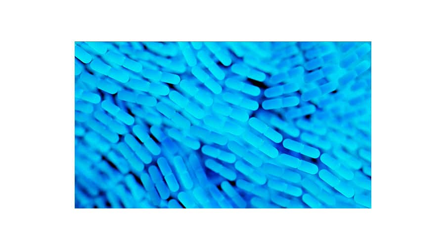 ¿Quién debe asistir y por qué al curso sobre Legionella y normativa de salud?