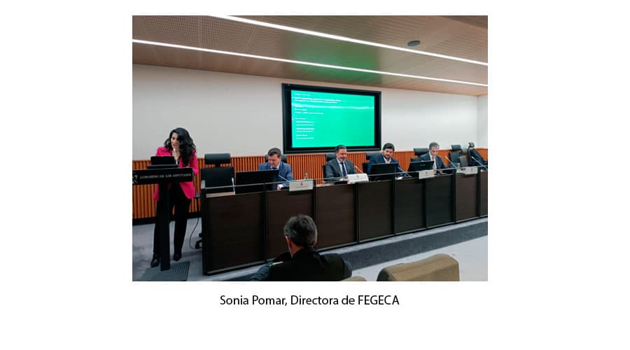 Sonia Pomar, Directora de FEGECA